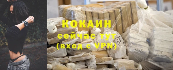 молекула духа Бородино