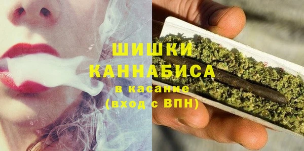 молекула духа Бородино