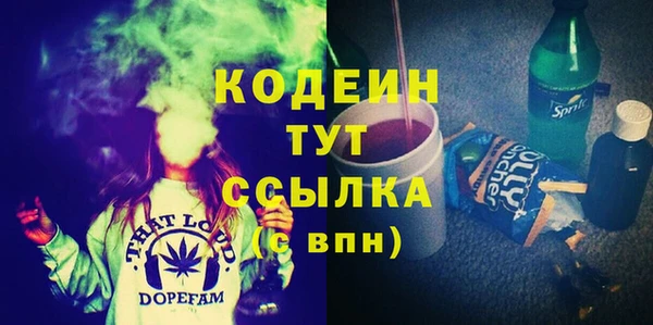 ПСИЛОЦИБИНОВЫЕ ГРИБЫ Арсеньев